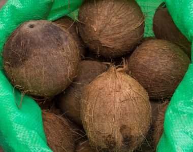 coconut 03